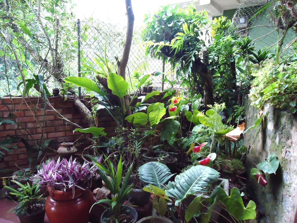 Green Woods Guest Kandy Bagian luar foto